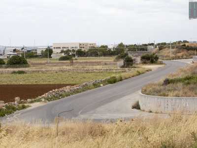 Subito dopo cala Corvino si apre via Marina del Mondo, una strada che corre parallela alla costa che decidiamo di percorrere